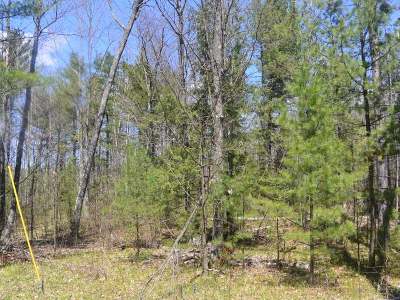 Minocqua WI Residential Lots & Land Sold: $16,700