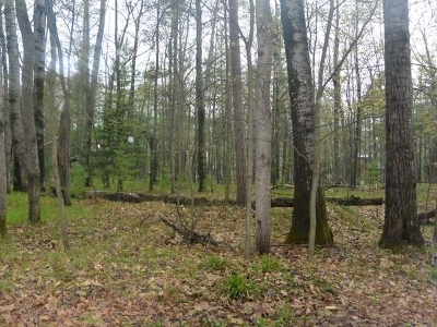 Minocqua WI Residential Lots & Land For Sale: $29,900