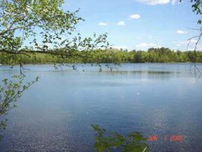 Minocqua WI Residential Lots & Land For Sale: $98,500