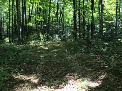 Lynne WI Residential Lots & Land For Sale: $129,000